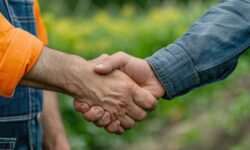 Commercialista Aziende Agricole